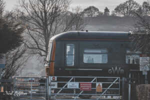 PICTURESQUAD Train