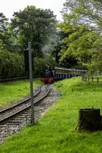 Train